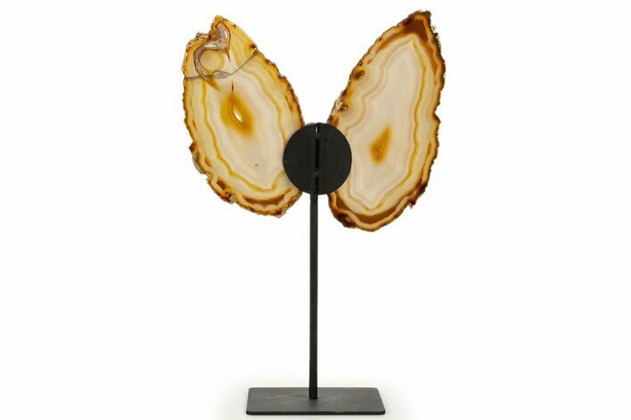 Agate Butterfly Wings - Brazil #322218